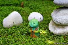 anshin_-_monk_meditating_praying_meditation_outdoors_-_serene_monks_-_green_-_buddha_nature_-_spiritual_edited