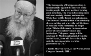 jwo-kalergi-plan-rabbi jwo-kalergi-plan-rabbi
