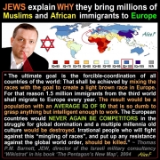 kalergi-plan-white-genocide-nwo-zionism-zionists-new-world-order kalergi-plan-white-genocide-nwo-zionism-zionists-new-world-order