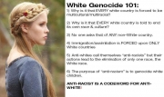 white genocide europeans aryans diversity multiculturalism white genocide europeans aryans diversity multiculturalism