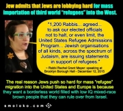 rabbis white genocide rabbis white genocide