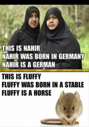 racial consciousness nations race genetics kalergi white genocide racial consciousness nations race genetics kalergi white genocide