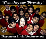 replacement racial diversity europe kalergi replacement racial diversity europe kalergi
