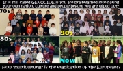 white flight replacement genocide white flight replacement genocide